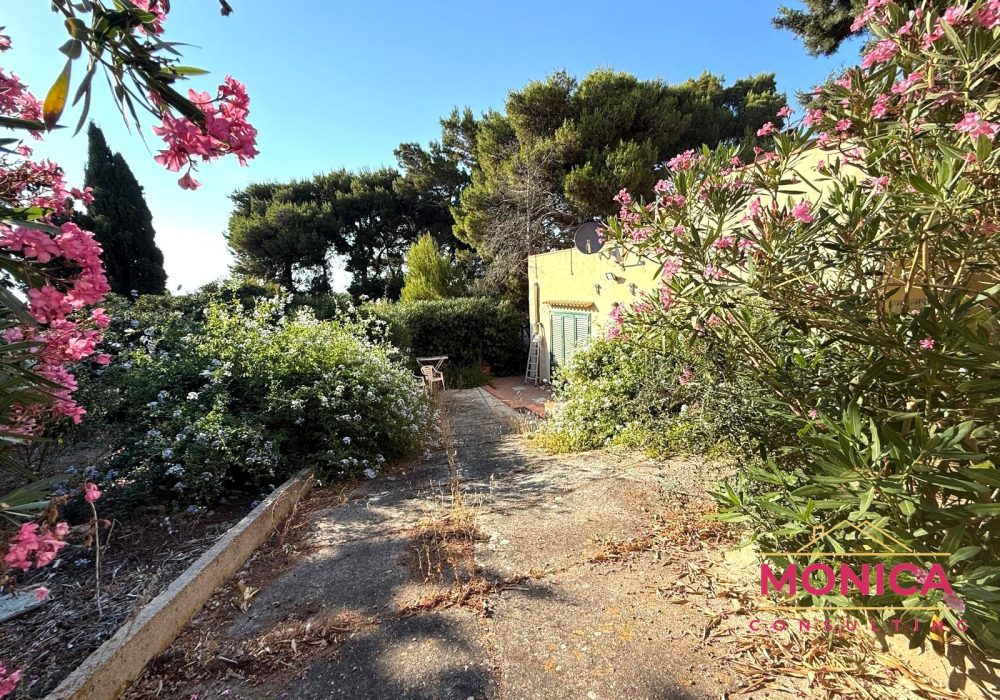 VIA ENTELLO 20