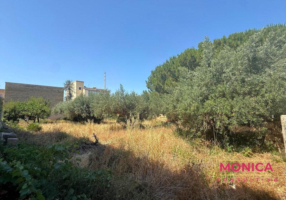 VIA GIOVANNI PILATI 3